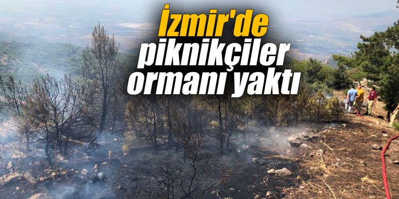 İzmir'de piknikçiler ormanı yaktı