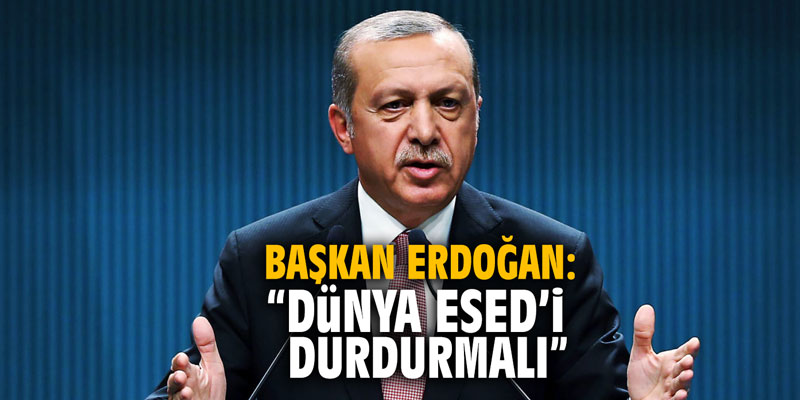 Başkan Erdoğan: “Dünya Esed'i durdurmalı”