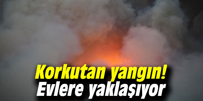 Korkutan yangın! Evlere yaklaşıyor