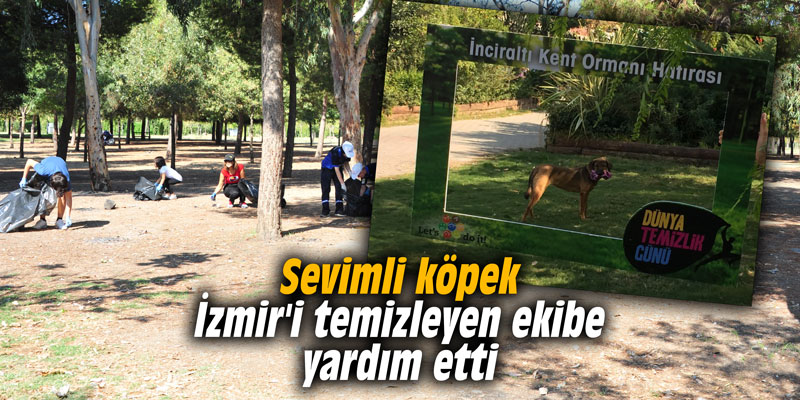 Sevimli köpek İzmir'i temizleyen ekibe yardım etti
