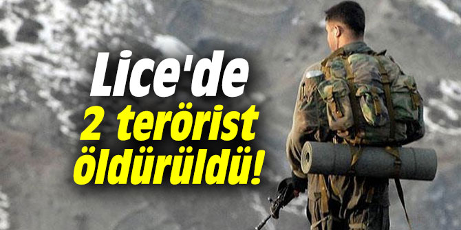 Lice'de 2 terörist öldürüldü!