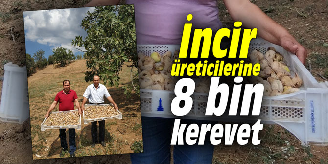 İncir üreticilerine 8 bin kerevet