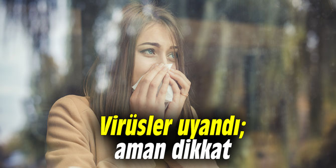 Virüsler uyandı; aman dikkat