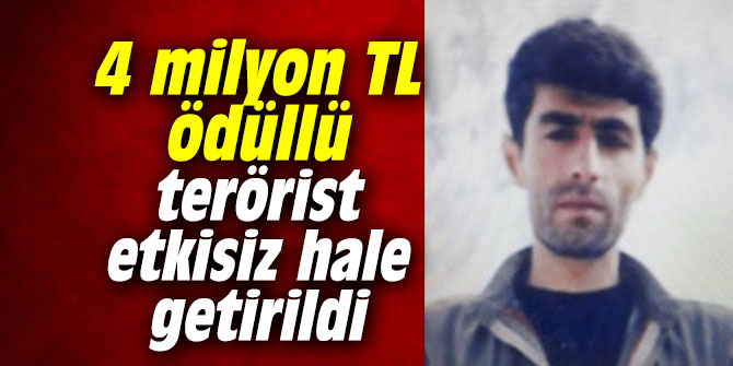 4 milyon TL ödüllü terörist etkisiz hale getirildi