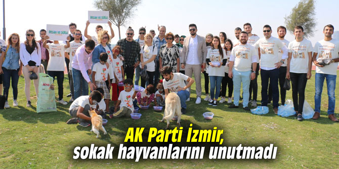 AK Parti İzmir, sokak hayvanlarını unutmadı