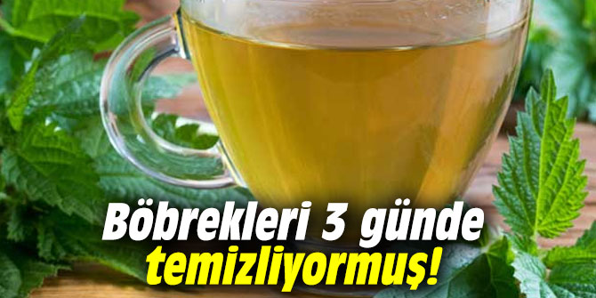 Böbrekleri 3 günde temizliyormuş!