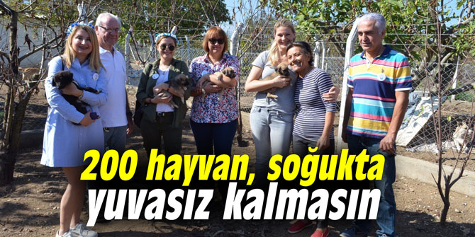 200 hayvan, soğukta yuvasız kalmasın