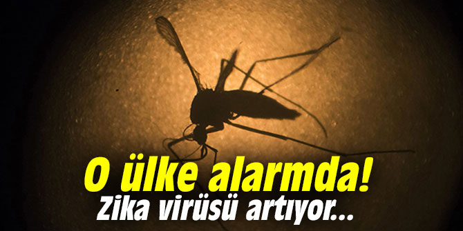 O ülke alarmda! Zika virüsü artıyor
