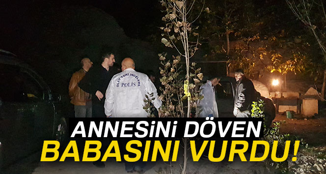 Annesini döven babasını av tüfeğiyle vurdu