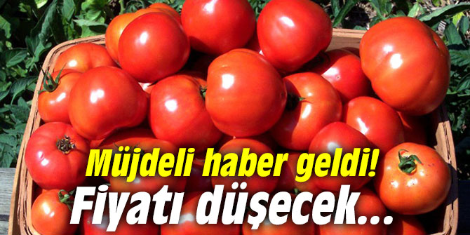 Müjdeli haber geldi! Fiyatı düşecek...