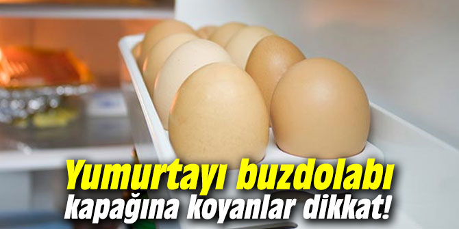 Yumurtayı buzdolabı kapağına koyanlar dikkat!