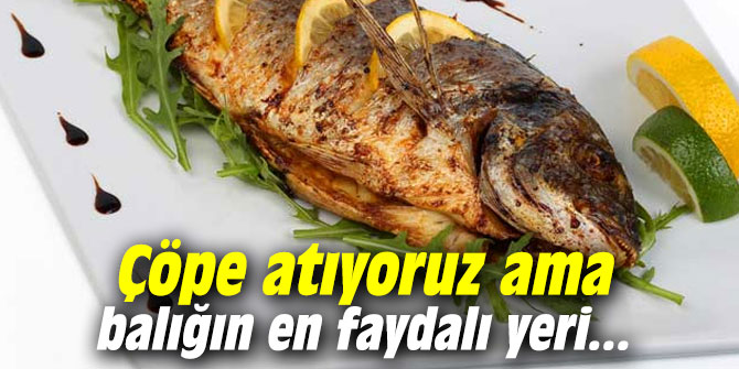 Çöpe atıyoruz ama balığın en faydalı yeri...