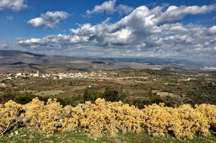 Menemen Çaltı'da “Tartı” şenliği var