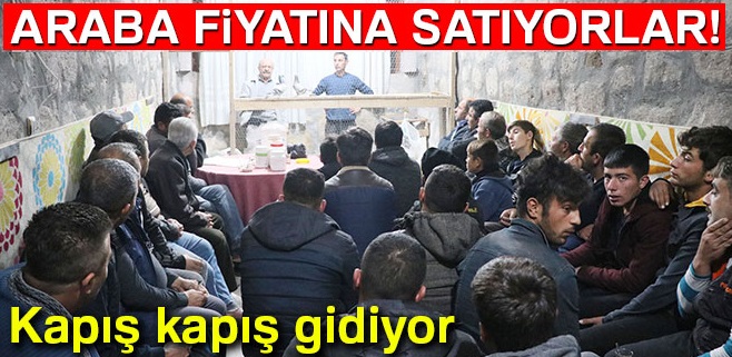 Araba fiyatına güvercin