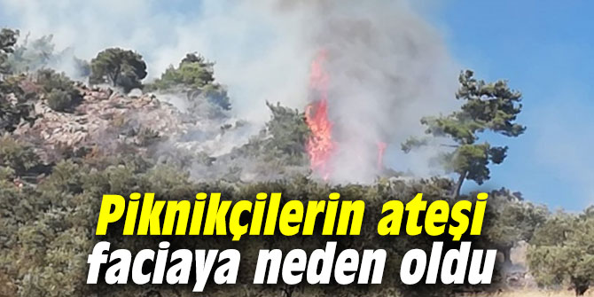 Piknikçilerin ateşi faciaya neden oldu