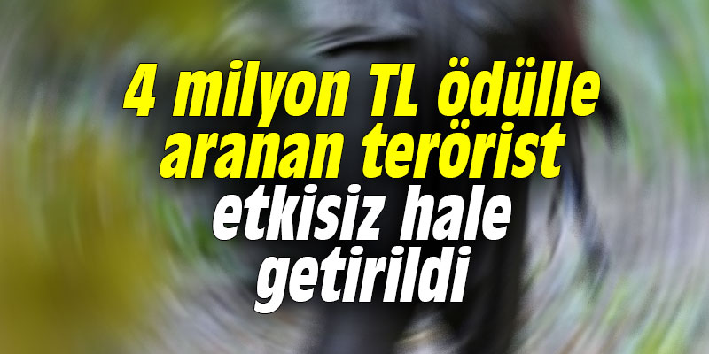 4 milyon TL ödülle aranan terörist etkisiz hale getirildi