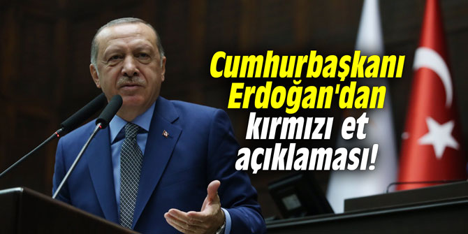 Erdoğan'dan önemli kırmızı et açıklaması!