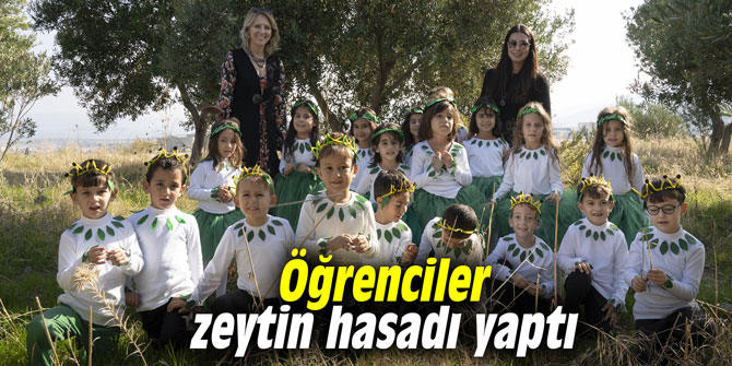 Öğrenciler zeytin hasadı yaptı