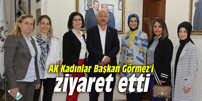 AK Kadınlar Başkan Görmez'i ziyaret etti