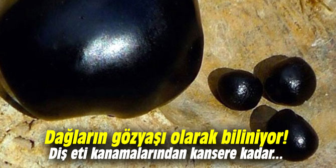 Dağların gözyaşı olarak biliniyor! Diş eti kanamalarından kansere kadar...