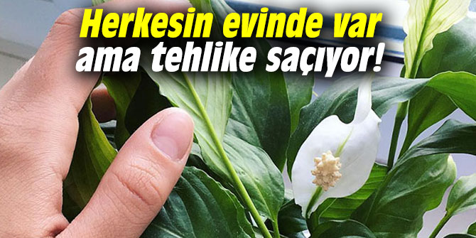 Herkesin evinde var ama tehlike saçıyor!