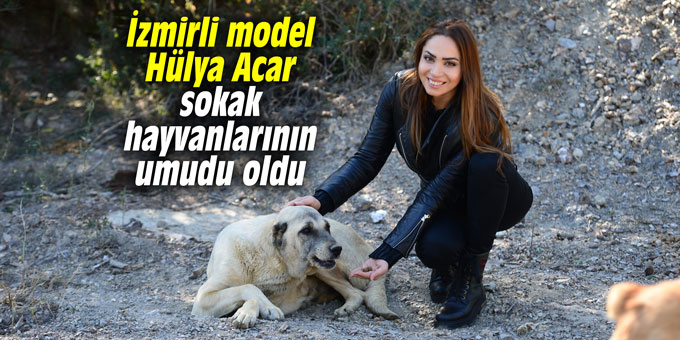 İzmirli model Hülya Acar sokak hayvanlarının umudu oldu