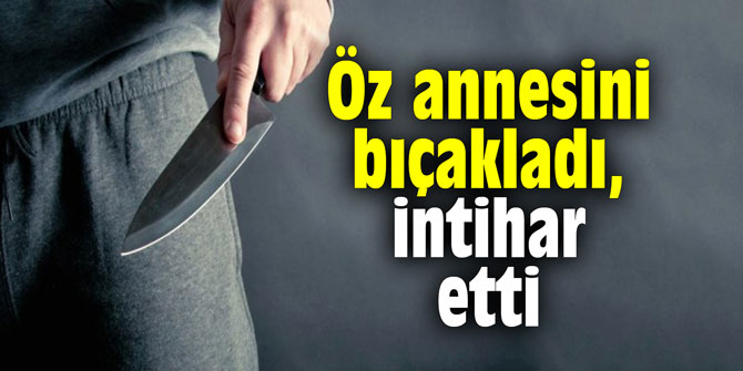 Öz annesini bıçakladı, intihar etti