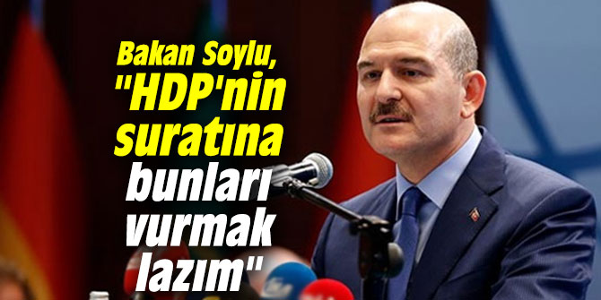 Bakan Soylu,"HDP'nin suratına bunları vurmak lazım"
