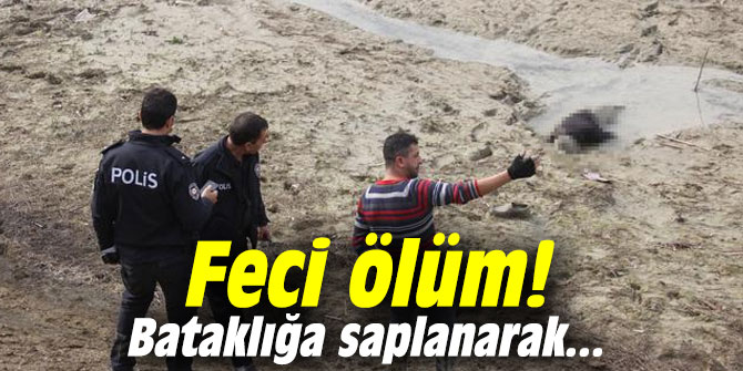 Feci ölüm! Bataklığa saplanarak...