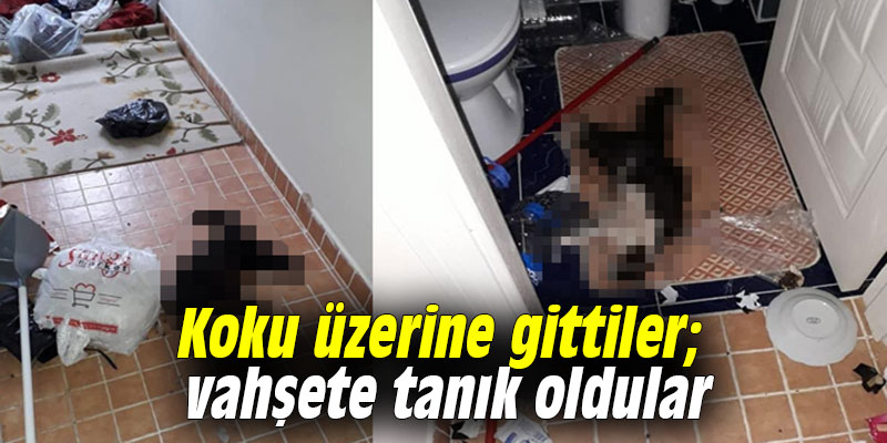 Koku üzerine gittiler; vahşete tanık oldular