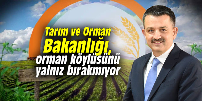 Tarım ve Orman Bakanlığı, orman köylüsünü yalnız bırakmıyor