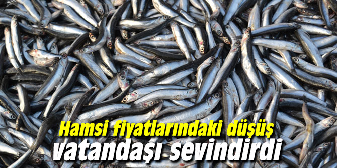 Hamsi fiyatlarındaki düşüş vatandaşı sevindirdi