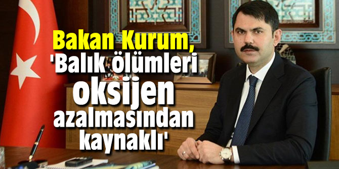 Bakan Kurum, 'Balık ölümleri oksijen azalmasından kaynaklı'