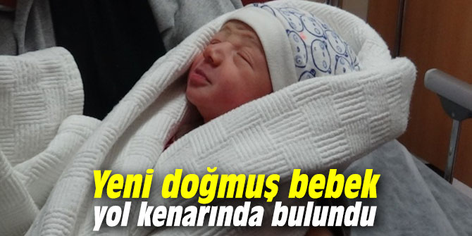 Yeni doğmuş bebek yol kenarında bulundu