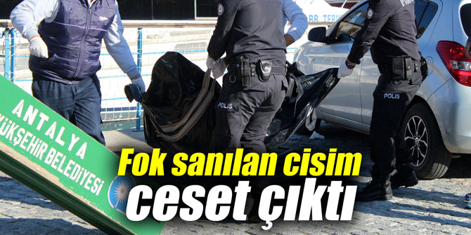 Fok sanılan cisim ceset çıktı