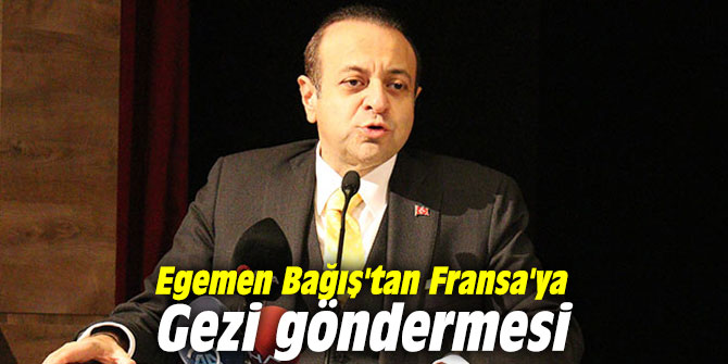 Egemen Bağış'tan Fransa'ya Gezi göndermesi