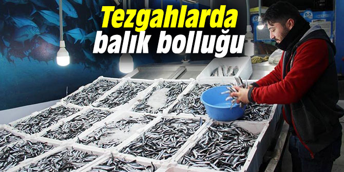 Tezgahlarda balık bolluğu