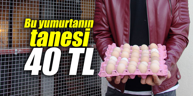Bu yumurtanın tanesi 40 TL