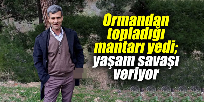Ormandan topladığı mantarı yedi; yaşam savaşı veriyor