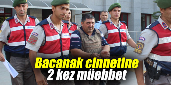 Bacanak cinnetine 2 kez müebbet