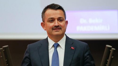 606d98c7adcdeb0fd0aa21a3.jpg