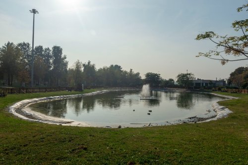 s808189.jpg