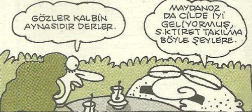 m1.jpg