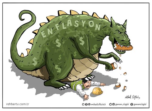 enf2-1.jpeg