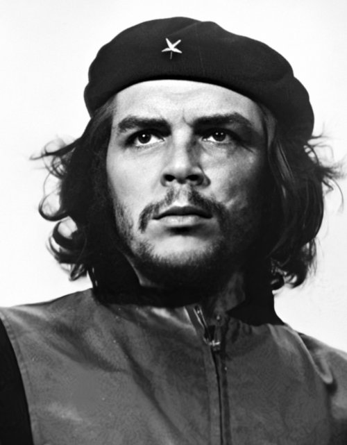 dr5.jpg