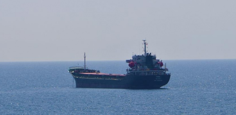 5005891.jpg