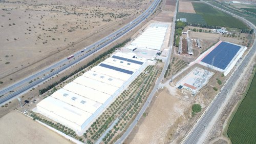 elidas-dis-cekim.jpg