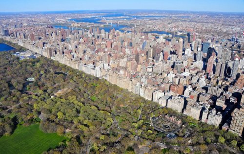 central-park-manhattan-new-york-city-apartment.webp