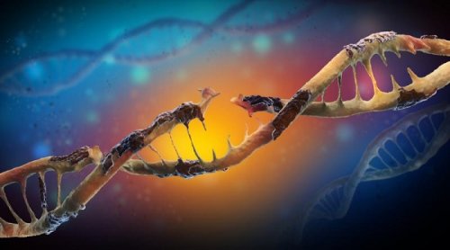nanoparcaciklar-hucresel-bir-bariyer-boyunca-beyin-hucrelerinde-dna-hasarina-sebep-olabilirler.jpg