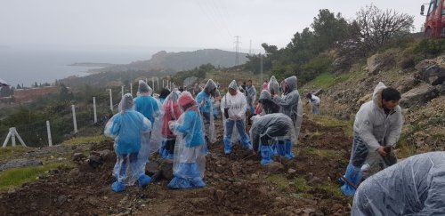 focada-orman-haftasi-kutlama-ve-fidan-dikim-etkinligi-2.jpg